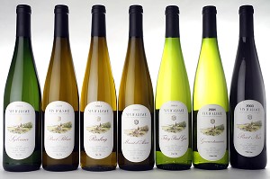 SEPT CEPAGES DES VINS D'ALSACE, HAUT-RHIN (68), ALSACE, FRANCE 