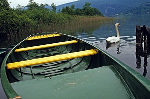 LE LAC D'AIGUEBELETTE, LE PORT DE ST ALBAN DE MONTBEL, BARQUE ET CYGNE SUR LE LAC, SAVOIE (73), FRANCE 