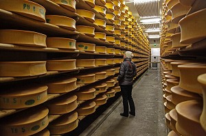 VISITE D'UNE CAVE D'AFFINAGE DU FROMAGE BEAUFORT, COOPERATIVE DE BEAUFORT, SAVOIE (73), FRANCE 