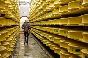 VISITE D'UNE CAVE D'AFFINAGE DU FROMAGE BEAUFORT, COOPERATIVE DE BEAUFORT, SAVOIE (73), FRANCE 