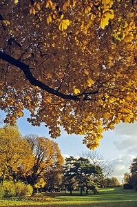 PARC MONTSOURIS, 13 EME ARRONDISSEMENT, PARIS (75), FRANCE 