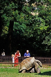 JARDIN DES PLANTES, PARIS (75), FRANCE 