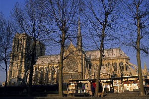 BOUQUINISTES ET CATHEDRALE NOTRE DAME DE PARIS, PARIS, FRANCE 