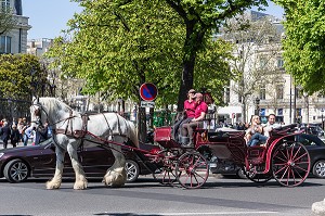 BALADE EN CALECHE TIREE PAR UN PERCHERON, AVENUE MONTAIGNE, 8EME ARRONDISSEMENT, PARIS, FRANCE 