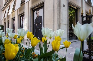 PARTERRE DE TULIPES JAUNE ET BLANCHE DEVANT LA BOUTIQUE GIORGIO ARMANI, AVENUE MONTAIGNE, 8EME ARRONDISSEMENT, PARIS, FRANCE 