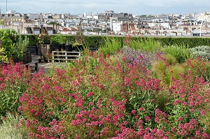 JARDIN POTAGER AVEC VUE SUR LA TOUR EIFFEL, TERRASSE DES TOITS DE LA CITE DE L'ARCHITECTURE ET DU PATRIMOINE, PALAIS DE CHAILLOT, 16 EME ARRONDISSEMENT, PARIS (75), FRANCE 