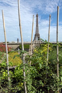 JARDIN POTAGER AVEC VUE SUR LA TOUR EIFFEL, TERRASSE DES TOITS DE LA CITE DE L'ARCHITECTURE ET DU PATRIMOINE, PALAIS DE CHAILLOT, 16 EME ARRONDISSEMENT, PARIS (75), FRANCE 