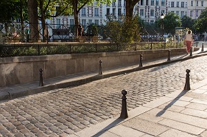 PLACE DAUPHINE SUR L'ILE DE LA CITE, PARIS (75), FRANCE 