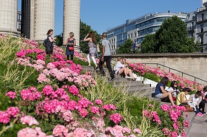 DETENTE AU SOLEIL SUR LES MARCHES FLEURIES D'HORTENSIAS, EGLISE DE LA MADELEINE, PLACE DE LA MADELEINE, PARIS (75), FRANCE 