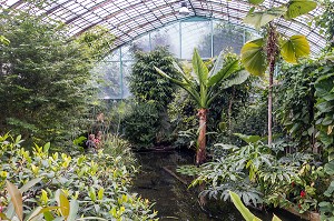 JARDIN TROPICAL DE LA GRANDE SERRE, JARDIN BOTANIQUE DES SERRES D'AUTEUIL, CONSTRUIT 1898 PAR L'ARCHITECTE JEAN-CAMILLE FORMIGE, PARIS 