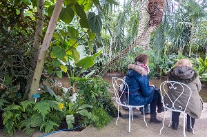 JARDIN TROPICAL DE LA GRANDE SERRE, JARDIN BOTANIQUE DES SERRES D'AUTEUIL, CONSTRUIT 1898 PAR L'ARCHITECTE JEAN-CAMILLE FORMIGE, PARIS 