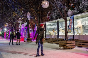 LA PATINOIRE DU PARIS VILLAGE DE NOEL, AVENUE DES CHAMPS-ELYSEES, PARIS LA NUIT, 8 EME, FRANCE 