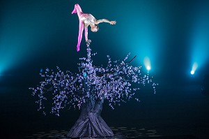 TROUPE D'ARTISTES CHINOIS, CIRQUE PHENIX, PELOUSE DE REUILLY, PARIS 12 EME ARRONDISSEMENT 