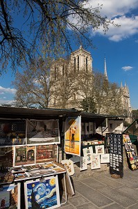 BOUQUINISTES, NOTRE-DAME DE PARIS, QUAI MONTEBELLO, PARIS, ILE-DE-FRANCE, FRANCE 