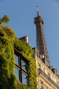 FACADE VEGETALE MUSEE DU QUAI BRANLY, 7 EME ARRONDISSEMENT, PARIS, FRANCE 