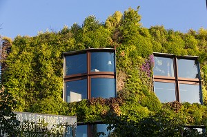 FACADE VEGETALE MUSEE DU QUAI BRANLY, 7 EME ARRONDISSEMENT, PARIS, FRANCE 
