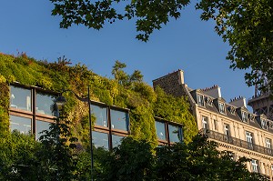 FACADE VEGETALE MUSEE DU QUAI BRANLY, 7 EME ARRONDISSEMENT, PARIS, FRANCE 