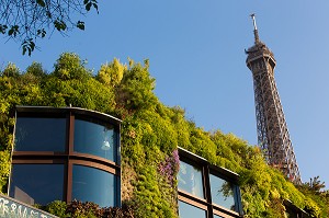 FACADE VEGETALE MUSEE DU QUAI BRANLY, 7 EME ARRONDISSEMENT, PARIS, FRANCE 