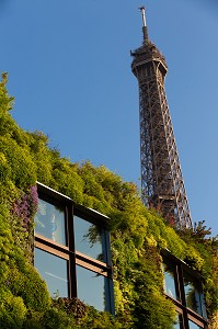 FACADE VEGETALE MUSEE DU QUAI BRANLY, 7 EME ARRONDISSEMENT, PARIS, FRANCE 