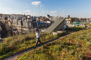 NICOLAS BEL, INGENIEUR, EXPERIMENTATION DE JARDIN SUR LE TOIT, ECOLE AGROPARISTECH, 5EME ARRONDISSEMENT, PARIS (75), FRANCE 