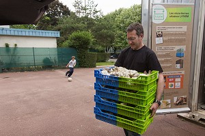 CEDRIC PECHARD INGENIEUR AGRONOME, INITIATEUR DU PROJET DE MICRO-FERME URBAINE U-FARM, PRODUCTION DE PLEUROTES URBAINE  PARIS (75), FRANCE 