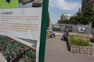 CONCEPT DE BACS FLEURIS, CARREFOUR REUILLY PICPUS, 12 EME ARRONDISSEMENT, PARIS (75), FRANCE 