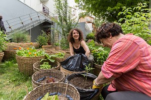 JARDIN DE L'ASSOCIATION L'UNIVERT, QUARTIER DE LA GOUTTE D'OR A BARBES, 18EME ARRONDISSEMENT, PARIS (75), FRANCE 