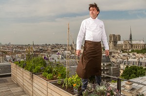 YANNICK ALLENO SUR LE TOIT POTAGER DE SON RESTAURANT LE TERROIR PARISIEN AU 9EME ETAGE DE LA MAISON DE LA MUTUALITE, 5 EME ARRONDISSEMENT, PARIS (75), FRANCE 