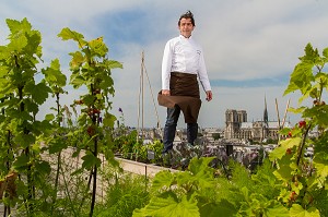 YANNICK ALLENO SUR LE TOIT POTAGER DE SON RESTAURANT LE TERROIR PARISIEN AU 9EME ETAGE DE LA MAISON DE LA MUTUALITE, 5 EME ARRONDISSEMENT, PARIS (75), FRANCE 