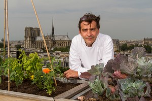 YANNICK ALLENO SUR LE TOIT POTAGER DE SON RESTAURANT LE TERROIR PARISIEN AU 9EME ETAGE DE LA MAISON DE LA MUTUALITE, 5 EME ARRONDISSEMENT, PARIS (75), FRANCE 