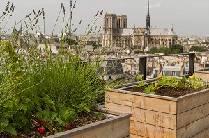 TOIT POTAGER DU RESTAURANT LE TERROIR PARISIEN, YANNICK ALLENO AU 9EME ETAGE DE LA MAISON DE LA MUTUALITE, 5 EME ARRONDISSEMENT, PARIS (75), FRANCE 