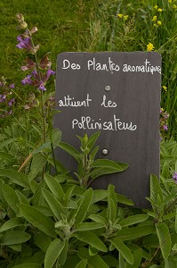 LA FERME DE PARIS, SITUEE DANS LE BOIS DE VINCENNES, EST UNE EXPLOITATION AGRICOLE A VOCATION PEDAGOGIQUE, 12EME ARRONDISSEMENT, PARIS (75), FRANCE 