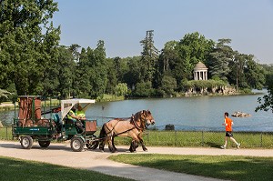 CHEVAUX DE TRAIT EMPLOYES DANS LE BOIS DE VINCENNES POUR EFFECTUER DES TRAVAUX D'ENTRETIEN, 12EME ARRONDISSEMENT, PARIS (75), FRANCE 