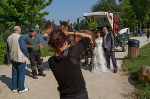 CHEVAUX DE TRAIT EMPLOYES DANS LE BOIS DE VINCENNES POUR EFFECTUER DES TRAVAUX D'ENTRETIEN, 12EME ARRONDISSEMENT, PARIS (75), FRANCE 