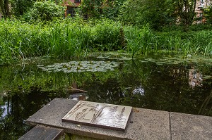 LE JARDIN NATUREL, RUE DE LA REUNION, EST COMPOS√Â DE VEGETAUX SAUVAGES REPRESENTATIFS DES MILIEUX NATURELS D'ILE-DE-FRANCE. IL EST LABELLISE ESPACE VERT ECOLOGIQUE, 20EME ARRONDISSEMENT, PARIS (75), FRANCE 