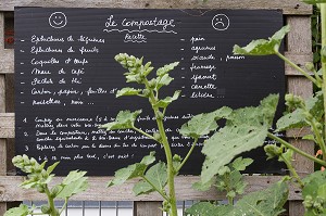 LE JARDIN SUR LE TOIT, LES JARDINS DU BETON, ASSOCIATION ARFOG LAFAYETTE, SUR LE TOIT D'UN GYMNASE, RUE DES HAIES, 20 EME ARRONDISSEMENT, PARIS (75), FRANCE 