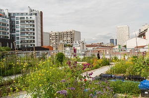 LE JARDIN SUR LE TOIT, LES JARDINS DU BETON, ASSOCIATION ARFOG LAFAYETTE, SUR LE TOIT D'UN GYMNASE, RUE DES HAIES, 20 EME ARRONDISSEMENT, PARIS (75), FRANCE 