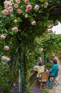 LES JARDINS DU RUISSEAU, JARDIN PARTAGE ASSOCIATIF, SUR LE SITE DE LA GARE ORNANO, PETITE CEINTURE, 18 EME ARRONDISSEMENT (75), FRANCE 