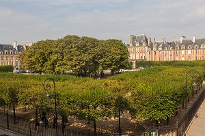 LA PLACE DES VOSGES AVEC LE SQUARE LOUIS XIII AU CENTRE EST SITUEE DANS LE QUARTIER DU MARAIS ENTRE LE 3EME ET LE 4EME ARRONDISSEMENT, ELLE EST LA PLUS ANCIENNE PLACE DE PARIS, PARIS (75), ILE-DE-FRANCE, FRANCE 