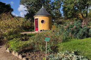 JARDIN DES PLANTES, RUE CUVIER, 5 EME ARRONDISSEMENT, PARIS (75), ILE-DE-FRANCE, FRANCE 