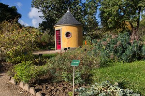 JARDIN DES PLANTES, RUE CUVIER, 5 EME ARRONDISSEMENT, PARIS (75), ILE-DE-FRANCE, FRANCE 