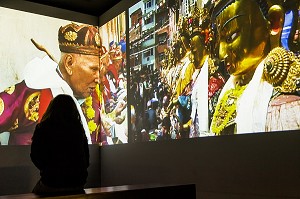 MUSEE DU QUAI BRANLY, 7 EME ARRONDISSEMENT, PARIS (75), ILE-DE-FRANCE, FRANCE 