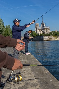 PECHEURS, STREET FISHING, QUAI DE LA TOURNELLE, PARIS (75) 