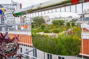 LE JARDIN SUR LE TOIT, LES JARDINS DU BETON, ASSOCIATION ARFOG LAFAYETTE, SUR LE TOIT D'UN GYMNASE, RUE DES HAIES, 20 EME ARRONDISSEMENT, PARIS (75), FRANCE 