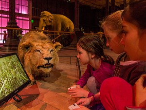 GRANDE GALERIE DE L'EVOLUTION, MUSEUM NATIONAL D'HISTOIRE NATURELLE, JARDIN DES PLANTES, VEME ARRONDISSEMENT, PARIS (75), ILE-DE-FRANCE, FRANCE 