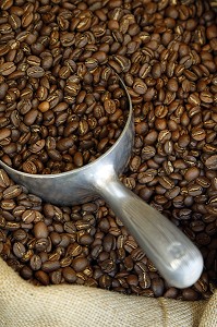 GRAINS DE CAFE TORREFIE DANS UN SAC DE TOILE DE JUTE, CAFE DUCHOSSOY, LE HAVRE, SEINE-MARITIME (76), NORMANDIE, FRANCE 