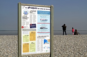 PANNEAU D'INFORMATION SUR LA DECOUVERTE DES PHOQUES DE LA BAIE DE SOMME, POINTE DE HOURDEL, CAYEUX-SUR-MER, SOMME (80), FRANCE 