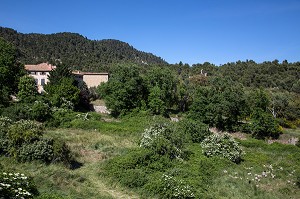 CAMPAGNE ET MOUTONS, VITROLLES EN LUBERON, PARC NATUREL REGIONAL DU LUBERON, VAUCLUSE (84), FRANCE 