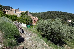 MAISON EN SORTIE DU VILLAGE DE VITROLLES EN LUBERON, PARC NATUREL REGIONAL DU LUBERON, VAUCLUSE (84), FRANCE 