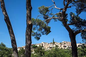 GRAMBOIS, PARC NATUREL REGIONAL DU LUBERON, VAUCLUSE (84), FRANCE 